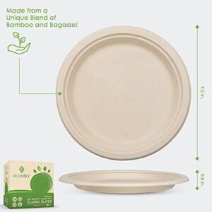 100% Compostable Paper Plates [9 in.]