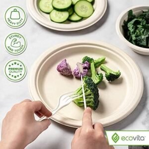 100% Compostable Paper Plates [9 in.]