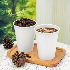 RACETOP [500 pack] Disposable Coffee Cups