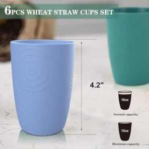 Homienly Drinking Glasses Premium Wheat Straw Unbreakable Cups